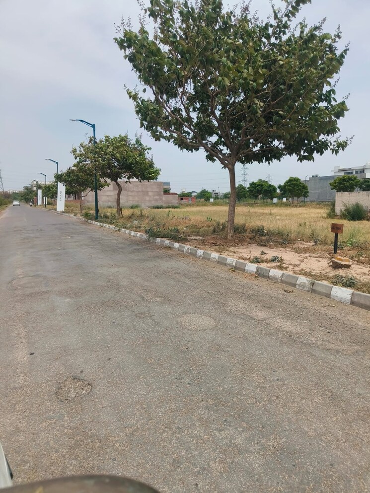 Resale 300 Sq.Yd. Plot in Sector 108 Mohali - 7184506