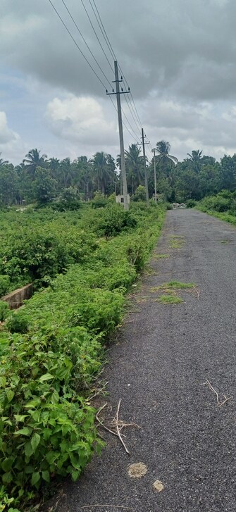 Plot For Resale in Gadikoppa Shimoga  7185264