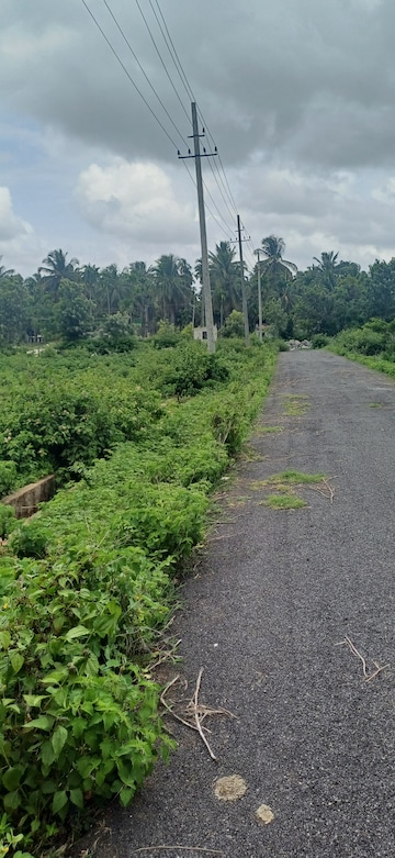 Plot For Resale in Gadikoppa Shimoga  7185264