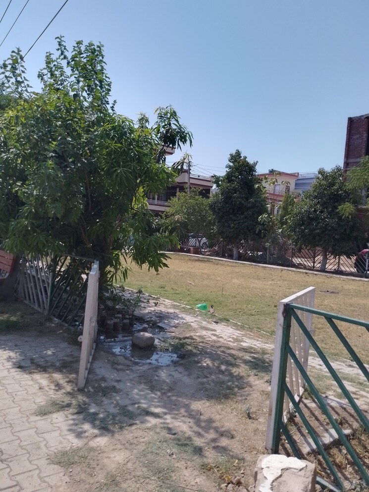 Garden, jhungian road 4 Bedroom 150 Sq.Yd. Independent House In Jhungian Road Mohali 7187636