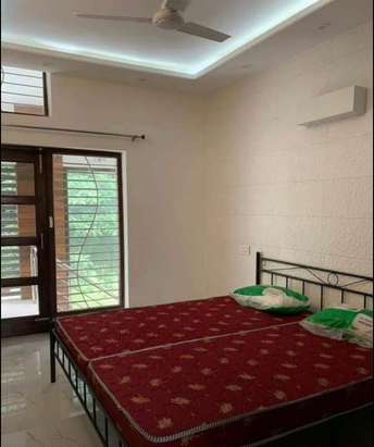 1 BHK Builder Floor For Rent in Sector 38 Chandigarh 7188041