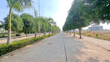 Plot Area in  Plot at Dhamtari Road – for Sale