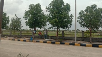 Plot For Resale in Siddiq Nagar Hyderabad  7188758