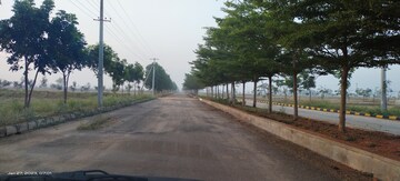  Plot – Exterior View View at Siddiq Nagar - for Sale