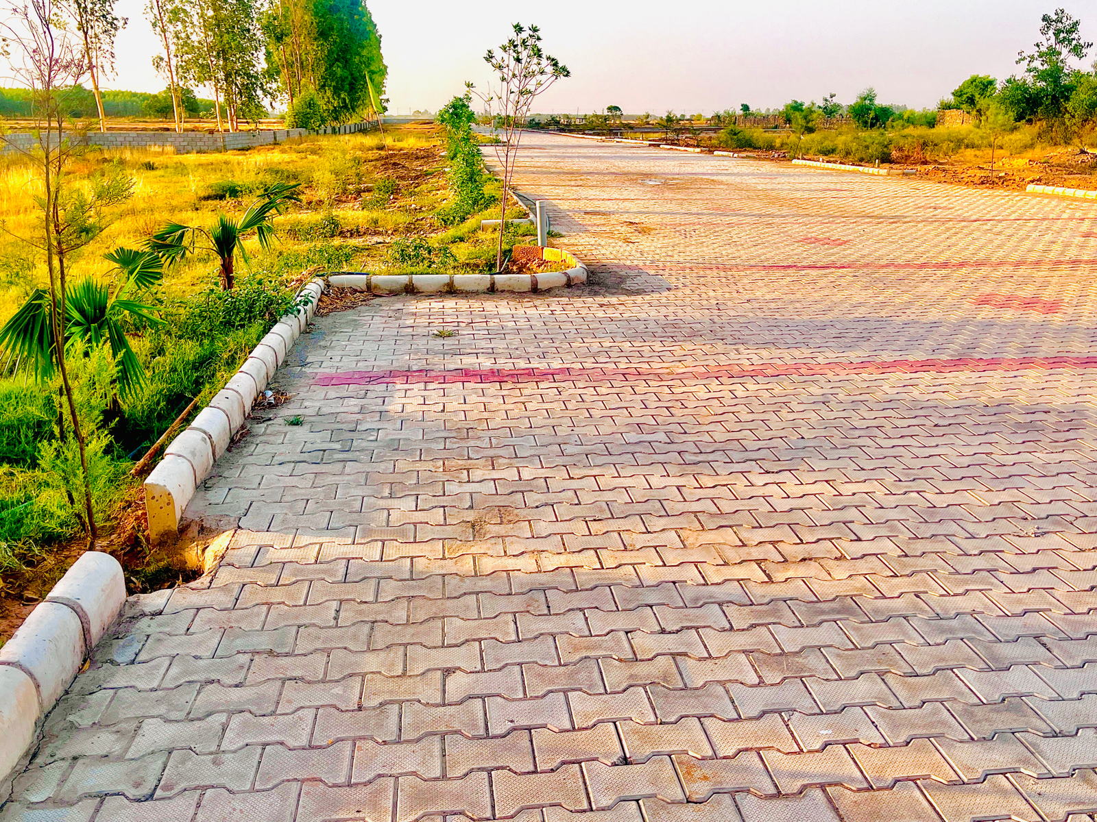 Plot For Resale in Lalru Mohali  7189032