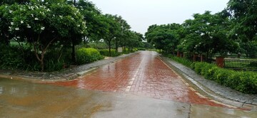 Plot – Exterior View View at Ireo Savannah, Sohna Sector 35 - for Sale