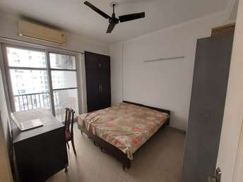 1 RK Independent House For Rent in Sector 30 Noida 7189506