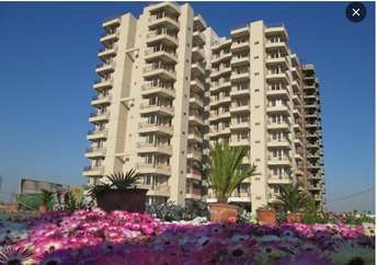 3 BHK Apartment For Resale in Sector 5 Dharuhera  7189724