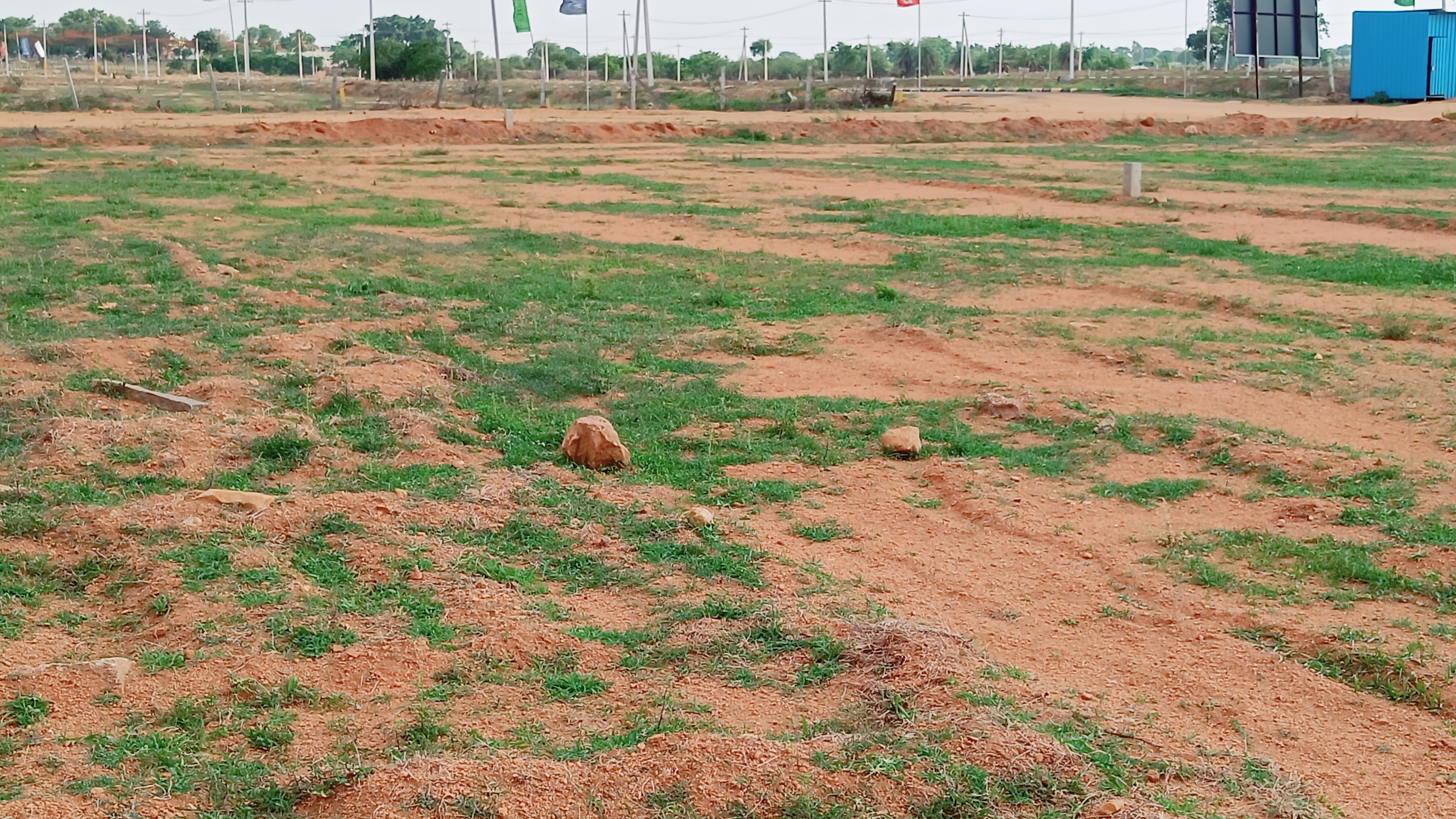 Plot For Resale in Suryapet Hyderabad  7190772