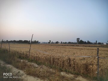 Plot Area in  Plot at Faizabad Road – for Sale