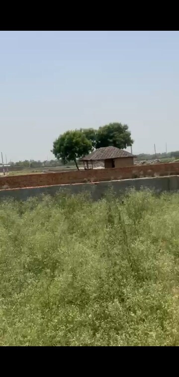  Plot – Exterior View View at The Nest Noida, Sector 31 - for Sale