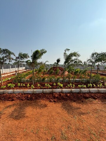Plot Area in  Plot at Kankipadu – for Sale