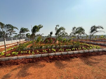 Plot Area in  Plot at Kankipadu – for Sale