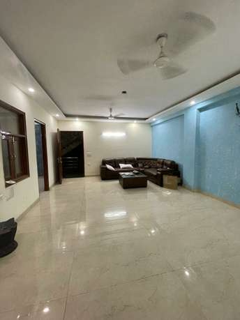 1 BHK Apartment For Rent in Freedom Fighters Enclave Saket Delhi  7195257