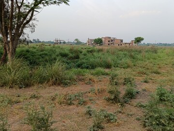 Plot Area in  Plot at Sonakshi Dream Township, Joka – for Sale