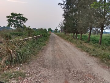 Plot Area in  Plot at Sonakshi Dream Township, Joka – for Sale