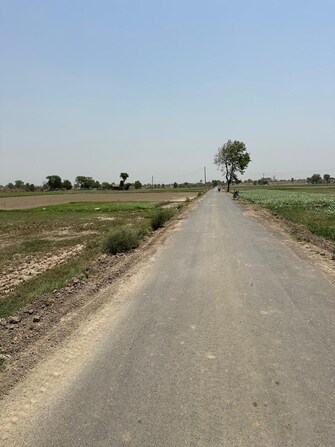 Commercial Land 9 Acre For Resale in Tigaon Faridabad  7195852