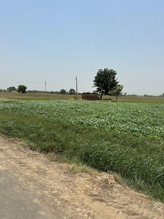 Commercial Land 9 Acre For Resale in Tigaon Faridabad  7195852