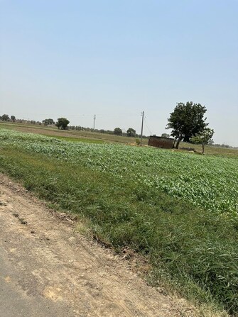 Commercial Land 9 Acre For Resale in Tigaon Faridabad  7195852