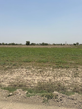 Commercial Land 9 Acre For Resale in Tigaon Faridabad  7195852