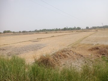 Plot Area in  Land at Nawabganj – for Sale