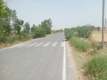 Plot Area in  Land at Nawabganj – for Sale
