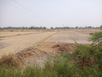 Plot Area in  Land at Nawabganj – for Sale