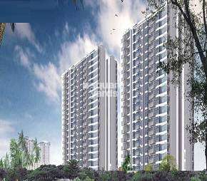 3 BHK Apartment For Rent in Jaypee Pavilion Heights IV Sector 128 Noida  7195986
