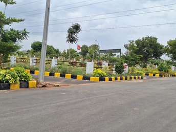 Plot For Resale in Amangal Hyderabad  7196016