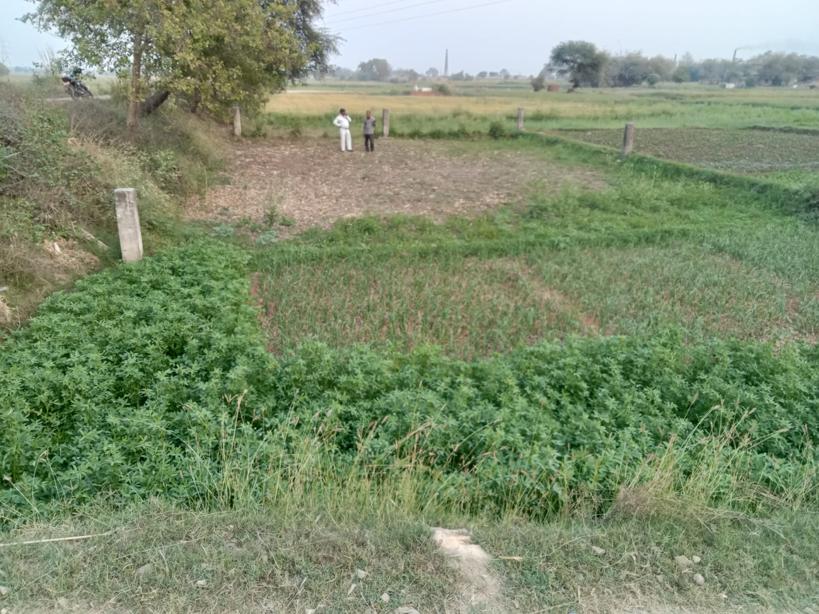 Plot For Resale in Mughal Sarai Varanasi  7196362