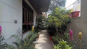 6 BHK Villa For Resale in Sector 36 Noida  7196980