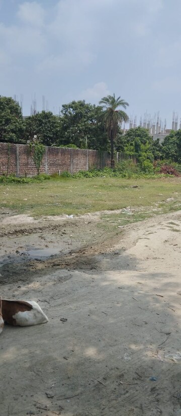 Plot Area in  Plot at Bairiya – for Sale