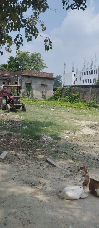 Plot For Resale in Bairiya Muzaffarpur  7197182