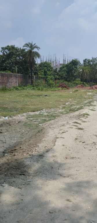 Plot For Resale in Bairiya Muzaffarpur  7197182