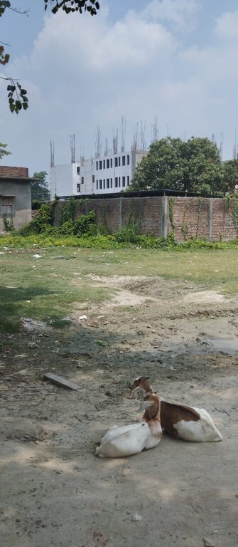 Plot For Resale in Bairiya Muzaffarpur  7197182