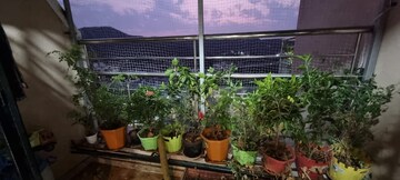 1 BHK Apartment – Garden View at Mohan Areca, Badlapur East - for Sale