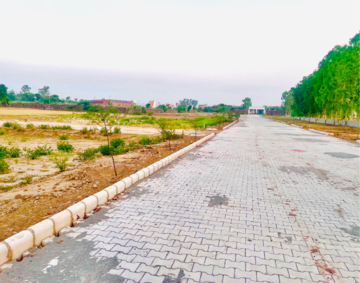 Swimming Pool in  Plot at Lalru – for Sale