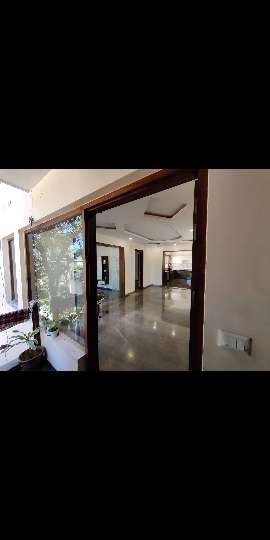 3 BHK Villa For Rent in Sector 34 Chandigarh 7197520