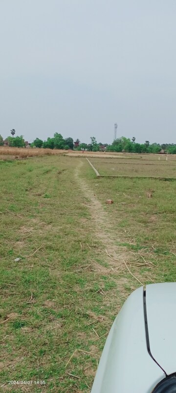  Plot For Sale in Naubatpur