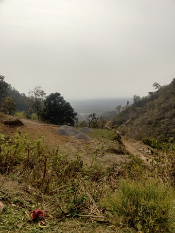 Plot Area in  Plot at Bhogpur – for Sale