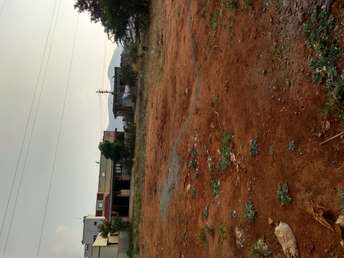 Plot For Resale in Sundakkamuthur Coimbatore  7198483