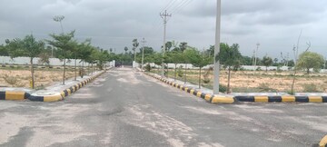  Plot For Sale in Ashok Colony
