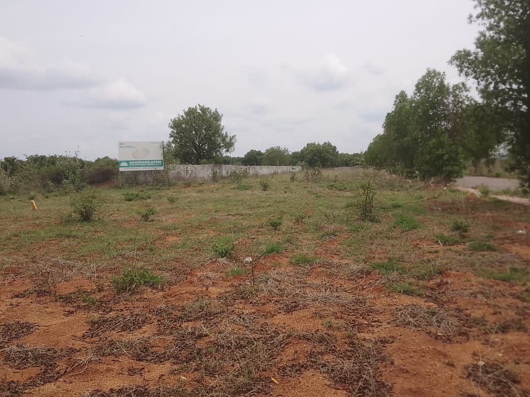 Plot For Resale in Bhanur Hyderabad  7199146