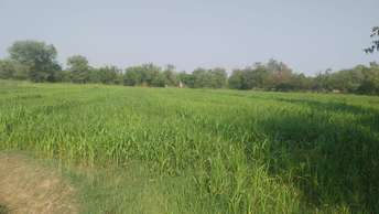 Commercial Land 850 Sq.Yd. For Resale in Thaltej Ahmedabad  7199482