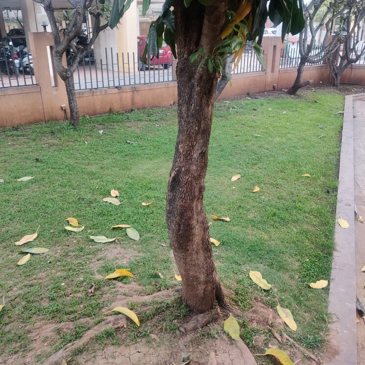 Garden, nirman-viva 2 Bedroom 699 Sq.Ft. Apartment In Ambegaon Budruk Pune 7199655