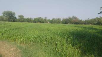 Commercial Land 2000 Sq.Yd. For Resale in Sola Ahmedabad  7199704