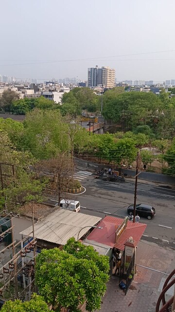 3 BHK Apartment – Exterior View View at Sam India Palm Grove Apartments, Sector 50 - for Sale