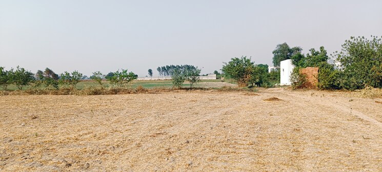 undefined, jewar Commercial Land 1 Acre In Jewar Greater Noida 7200465