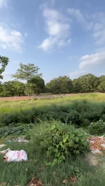 Plot Area in  Plot at Mithanpura – for Sale