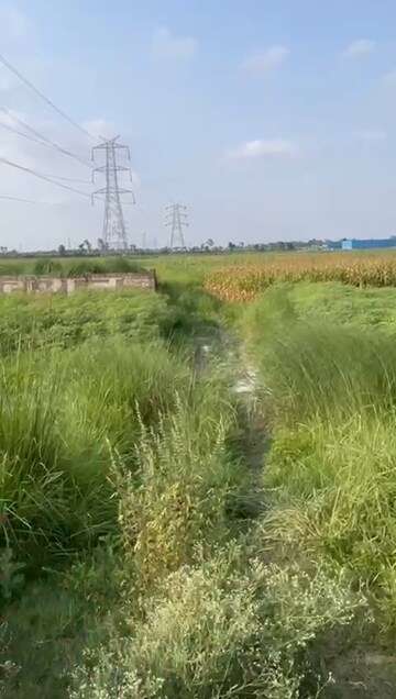 Plot Area in  Plot at Mithanpura – for Sale